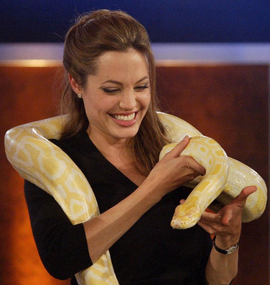 Angelina Jolie pic #443867