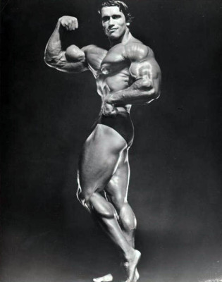 photo 7 in Schwarzenegger gallery [id275820] 2010-08-09 00:00:00