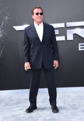 photo 9 in Arnold Schwarzenegger gallery [id782938] 2015-07-09 00:00:00