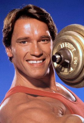 photo 18 in Arnold Schwarzenegger gallery [id561454] 2012-12-17 00:00:00