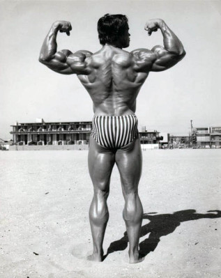 photo 9 in Arnold Schwarzenegger gallery [id275817] 2010-08-09 00:00:00
