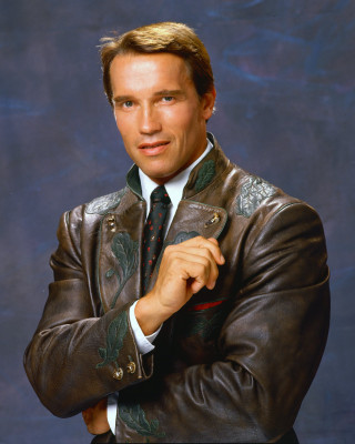 Arnold Schwarzenegger pic #561570