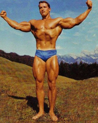 photo 27 in Arnold Schwarzenegger gallery [id282460] 2010-08-30 00:00:00