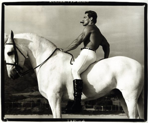 photo 3 in Schwarzenegger gallery [id66476] -0001-11-30 00:00:00