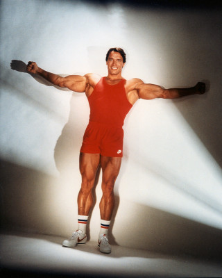 photo 3 in Arnold Schwarzenegger gallery [id855109] 2016-05-27 00:00:00