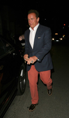 photo 11 in Arnold Schwarzenegger gallery [id598536] 2013-04-28 00:00:00