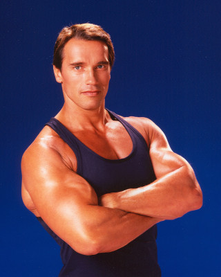 photo 5 in Arnold Schwarzenegger gallery [id851213] 2016-05-10 00:00:00