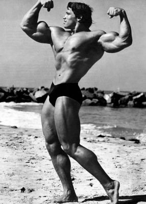 photo 6 in Schwarzenegger gallery [id278049] 2010-08-17 00:00:00