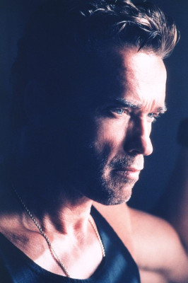 Arnold Schwarzenegger pic #34621