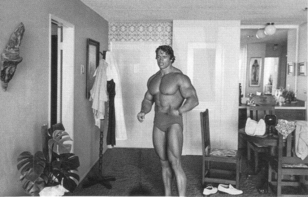 photo 12 in Schwarzenegger gallery [id240122] 2010-03-05 00:00:00