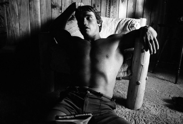 Arnold Schwarzenegger pic #84215