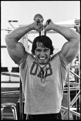 photo 29 in Arnold gallery [id78932] -0001-11-30 00:00:00