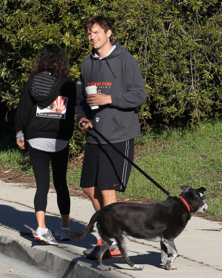 Ashton Cutcher pic #566930