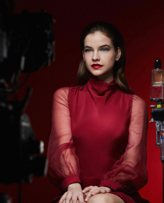 photo 16 in Palvin gallery [id1290235] 2021-12-24 00:00:00