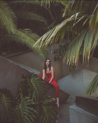 photo 6 in Palvin gallery [id1282784] 2021-11-23 00:00:00