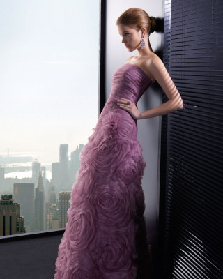 photo 5 in Palvin gallery [id510342] 2012-07-15 00:00:00