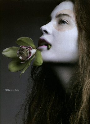 photo 21 in Prinsloo gallery [id265310] 2010-06-21 00:00:00