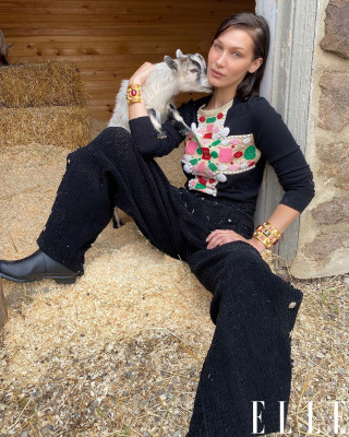 Bella Hadid pic #1226715
