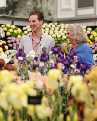 Benedict Cumberbatch pic #702025