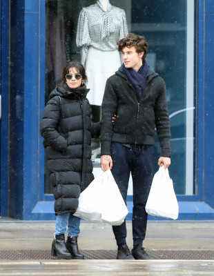photo 3 in Camila Cabello gallery [id1197722] 2020-01-06 00:00:00