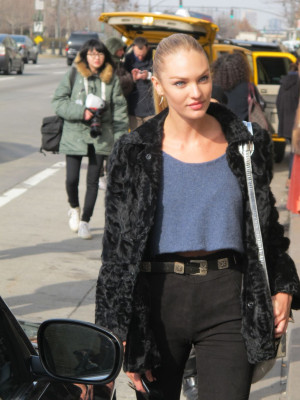 Candice Swanepoel pic #445972