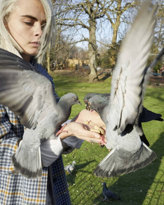 Cara Delevingne pic #1130837