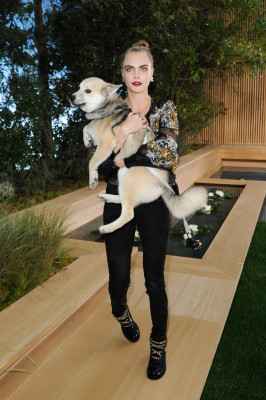Cara Delevingne pic #830195
