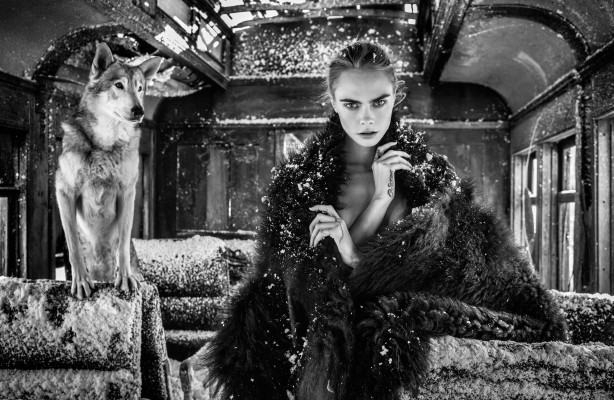 photo 14 in Delevingne gallery [id1241882] 2020-12-02 00:00:00