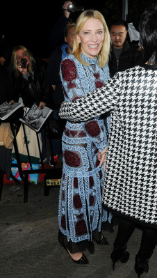 photo 23 in Cate Blanchett gallery [id825529] 2016-01-11 00:00:00