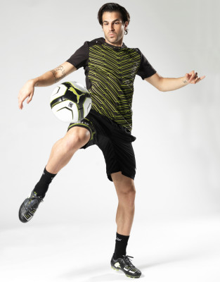 photo 14 in Fabregas gallery [id456862] 2012-03-06 00:00:00