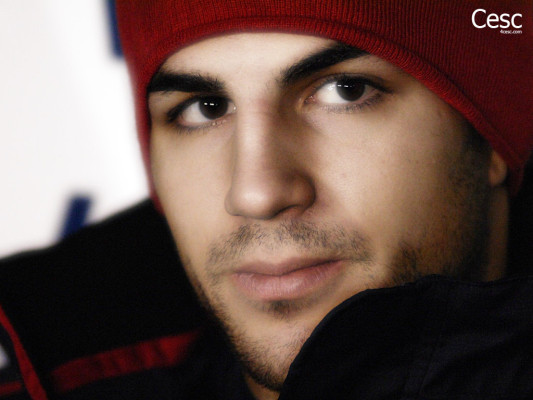 photo 3 in Cesc Fabregas gallery [id481601] 2012-04-30 00:00:00