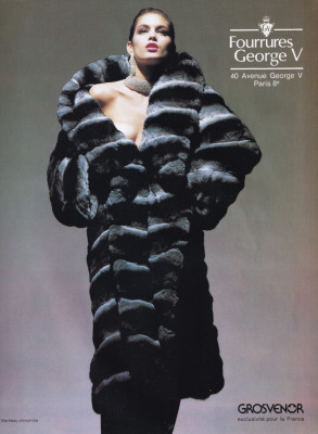 photo 15 in Cindy Crawford gallery [id1369137] 2025-04-09 00:00:00