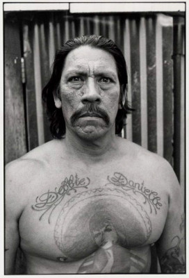 photo 20 in Danny Trejo gallery [id192571] 2009-11-03 00:00:00