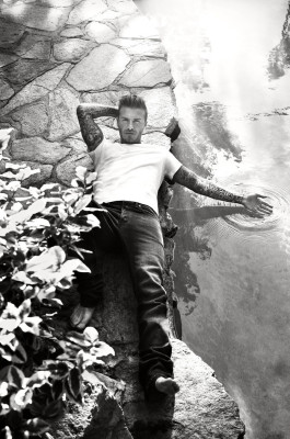 David Beckham pic #497570