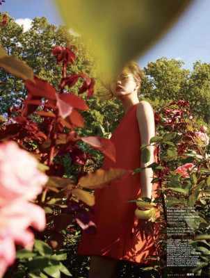 Devon Aoki pic #328119