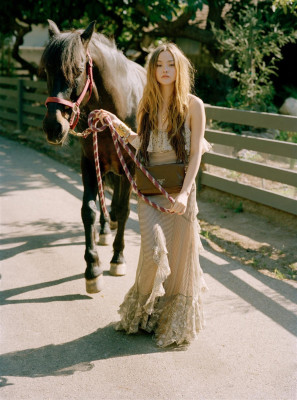 Devon Aoki pic #226804