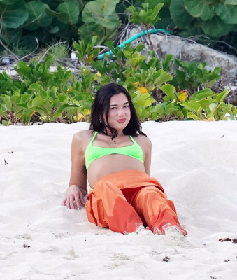 photo 15 in Dua Lipa gallery [id1293065] 2022-01-10 00:00:00