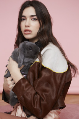 Dua Lipa pic #900008