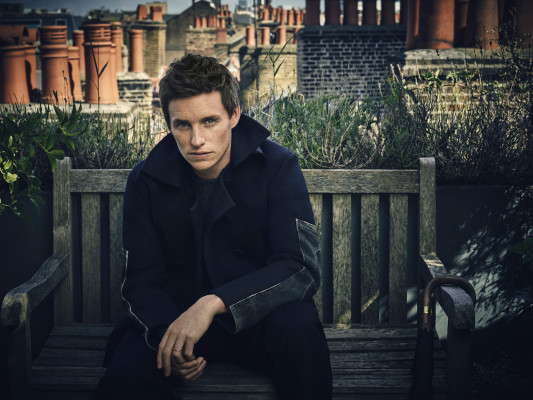 Eddie Redmayne pic #900426