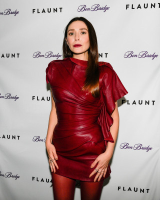 photo 3 in Elizabeth Olsen gallery [id1364496] 2025-01-24 00:00:00