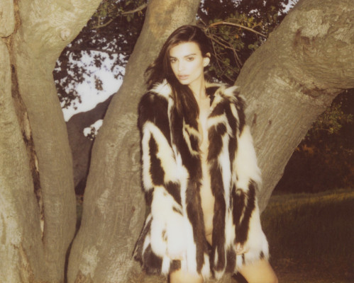 Emily Ratajkowski pic #618375