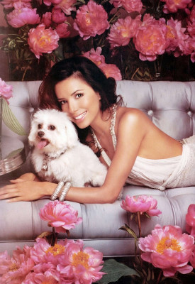 Eva Longoria pic #63177