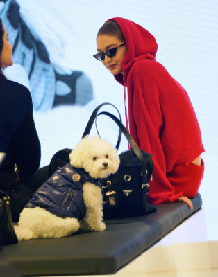 Gigi Hadid pic #1011813