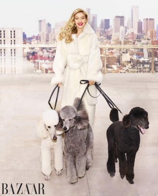 Gigi Hadid pic #1028972
