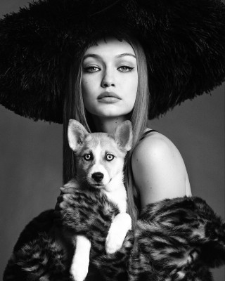 Gigi Hadid pic #969848