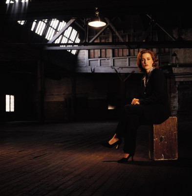 Gillian Anderson pic #155024