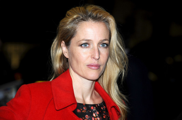Gillian Anderson pic #543916