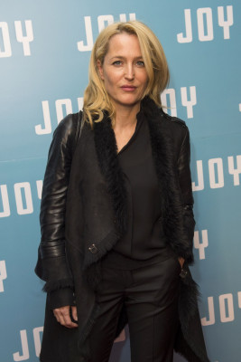 photo 14 in Gillian Anderson gallery [id821154] 2015-12-20 00:00:00