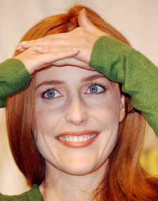 Gillian Anderson pic #881476