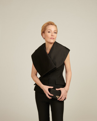photo 19 in Gillian Anderson gallery [id1249966] 2021-03-11 00:00:00